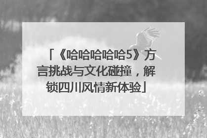 《哈哈哈哈哈5》方言挑战与文化碰撞，解锁四川风情新体验