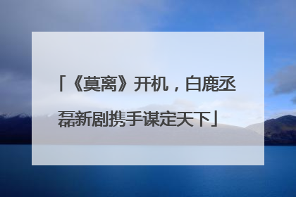 《莫离》开机，白鹿丞磊新剧携手谋定天下