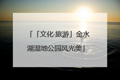 「文化·旅游」金水湖湿地公园风光美