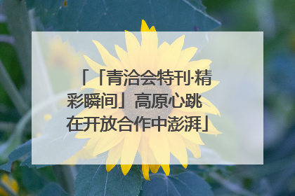 「青洽会特刊·精彩瞬间」高原心跳 在开放合作中澎湃