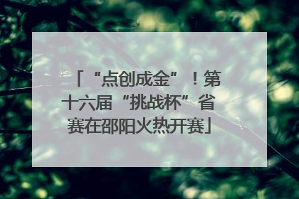 “点创成金”！第十六届“挑战杯”省赛在邵阳火热开赛