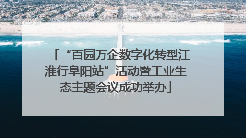 “百园万企数字化转型江淮行阜阳站”活动暨工业生态主题会议成功举办