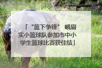 “篮下争锋” 峨眉实小篮球队参加市中小学生篮球比赛获佳绩