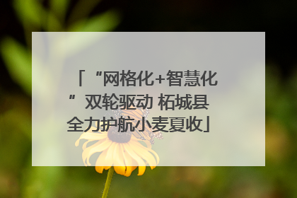 “网格化+智慧化”双轮驱动 柘城县全力护航小麦夏收
