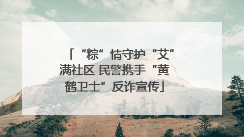 “粽”情守护“艾”满社区 民警携手“黄鹤卫士”反诈宣传
