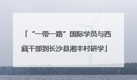 “一带一路”国际学员与西藏干部到长沙县湘丰村研学