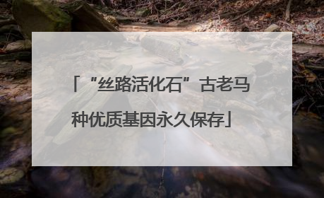 “丝路活化石”古老马种优质基因永久保存