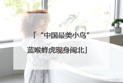 “中国最美小鸟”蓝喉蜂虎现身闽北