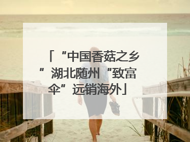 “中国香菇之乡”湖北随州“致富伞”远销海外