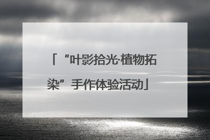 “叶影拾光·植物拓染”手作体验活动