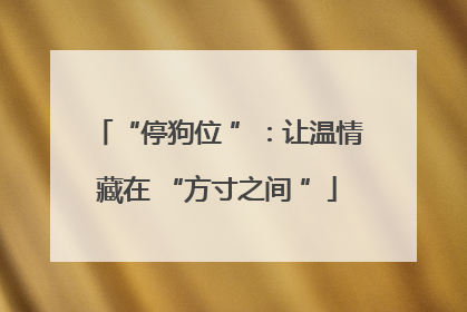 “停狗位 ”：让温情藏在 “方寸之间 ”