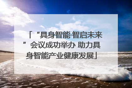 “具身智能·智启未来”会议成功举办 助力具身智能产业健康发展