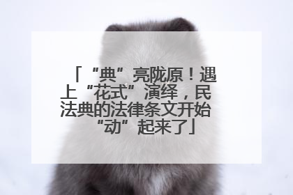 “典”亮陇原！遇上“花式”演绎，民法典的法律条文开始“动”起来了