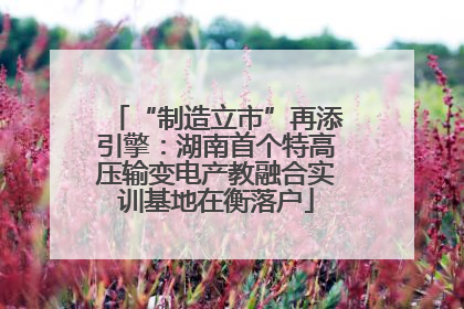 “制造立市”再添引擎：湖南首个特高压输变电产教融合实训基地在衡落户