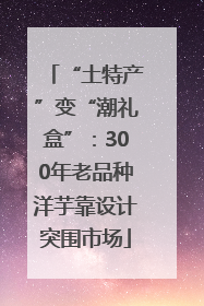 “土特产”变“潮礼盒”：300年老品种洋芋靠设计突围市场