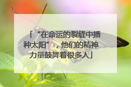 “在命运的裂缝中播种太阳”，他们的精神力量鼓舞着很多人