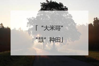 “大米哥”“慧”种田