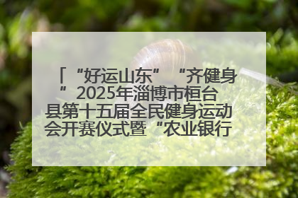 “好运山东”“齐健身”2025年淄博市桓台县第十五届全民健身运动会开赛仪式暨“农业银行杯”第一届社区工作队伍运动会开赛