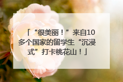 “很美丽！”来自10多个国家的留学生“沉浸式”打卡桃花山！
