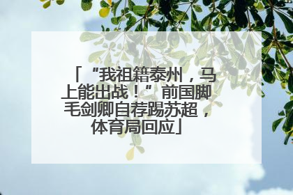 “我祖籍泰州，马上能出战！”前国脚毛剑卿自荐踢苏超，体育局回应