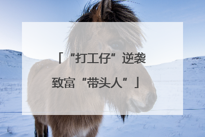 “打工仔”逆袭致富“带头人”