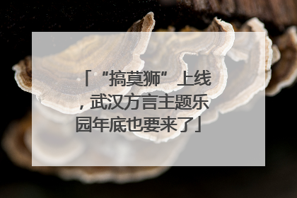“搞莫狮”上线，武汉方言主题乐园年底也要来了