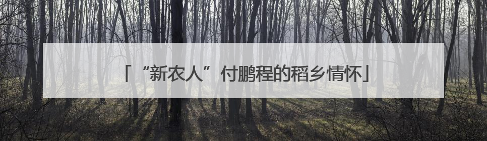 “新农人”付鹏程的稻乡情怀