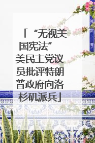 “无视美国宪法” 美民主党议员批评特朗普政府向洛杉矶派兵
