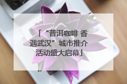 “普洱咖啡 香遇武汉”城市推介活动盛大启幕