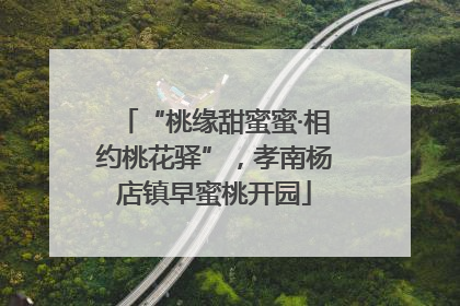 “桃缘甜蜜蜜·相约桃花驿”，孝南杨店镇早蜜桃开园