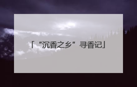 “沉香之乡”寻香记
