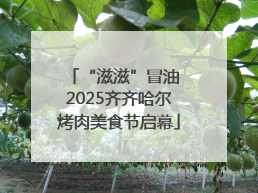 “滋滋”冒油 2025齐齐哈尔烤肉美食节启幕