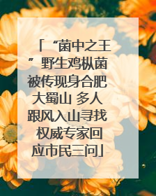 “菌中之王”野生鸡枞菌被传现身合肥大蜀山 多人跟风入山寻找 权威专家回应市民三问