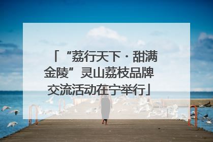 “荔行天下・甜满金陵”灵山荔枝品牌交流活动在宁举行