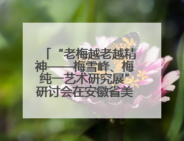 “老梅越老越精神——梅雪峰、梅纯一艺术研究展”研讨会在安徽省美术馆召开