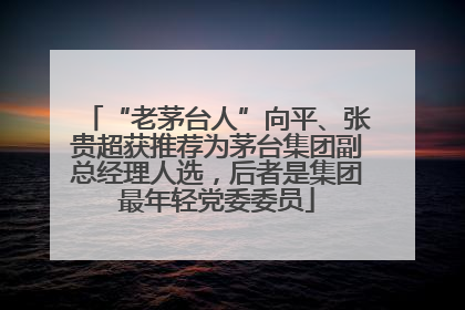 “老茅台人”向平、张贵超获推荐为茅台集团副总经理人选，后者是集团最年轻党委委员