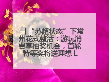 “苏超状态”下常州花式整活：游玩消费享抽奖机会，首轮特等奖将送理想 L6 Pro