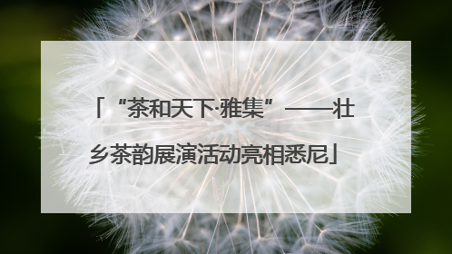 “茶和天下·雅集”——壮乡茶韵展演活动亮相悉尼