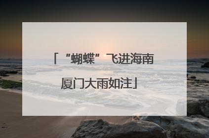 “蝴蝶”飞进海南 厦门大雨如注