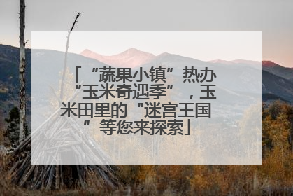 “蔬果小镇”热办“玉米奇遇季”，玉米田里的“迷宫王国”等您来探索
