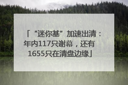 “迷你基”加速出清：年内117只谢幕，还有1655只在清盘边缘