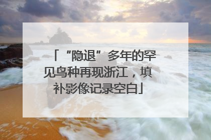 “隐退”多年的罕见鸟种再现浙江，填补影像记录空白