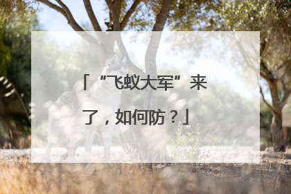 “飞蚁大军”来了，如何防？