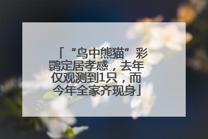 “鸟中熊猫”彩鹮定居孝感，去年仅观测到1只，而今年全家齐现身