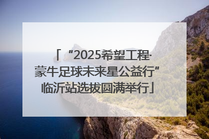 “2025希望工程·蒙牛足球未来星公益行”临沂站选拔圆满举行