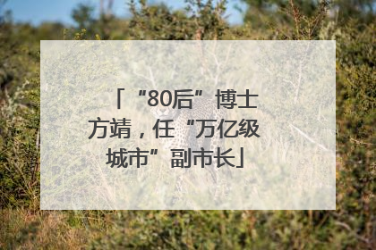 “80后”博士方靖，任“万亿级城市”副市长