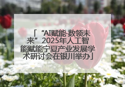 “AI赋能·数领未来”2025年人工智能赋能宁夏产业发展学术研讨会在银川举办