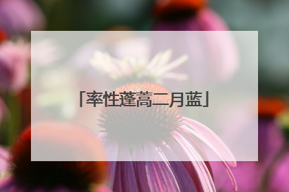 率性蓬蒿二月蓝