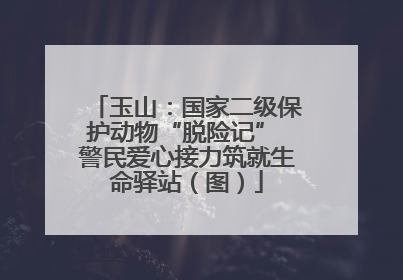 玉山：国家二级保护动物“脱险记” 警民爱心接力筑就生命驿站（图）