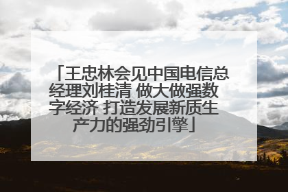 王忠林会见中国电信总经理刘桂清 做大做强数字经济 打造发展新质生产力的强劲引擎